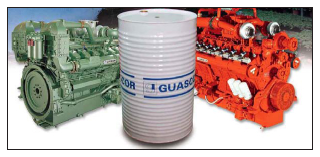 Guascor spare parts for new and old gas and diesel engines