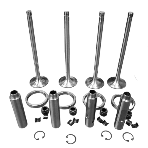 1977530 cylinder head reconditon kit, valve kit for Guascor HGM engine Guascor valve kit